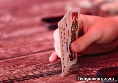 捕鱼达人千炮版视角：双色球号码参考频率真的能左右长期战绩吗？