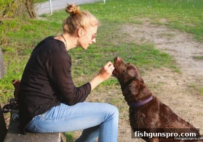 捕鱼达人千炮版每日签到抽奖活动参与指南与官网直达
