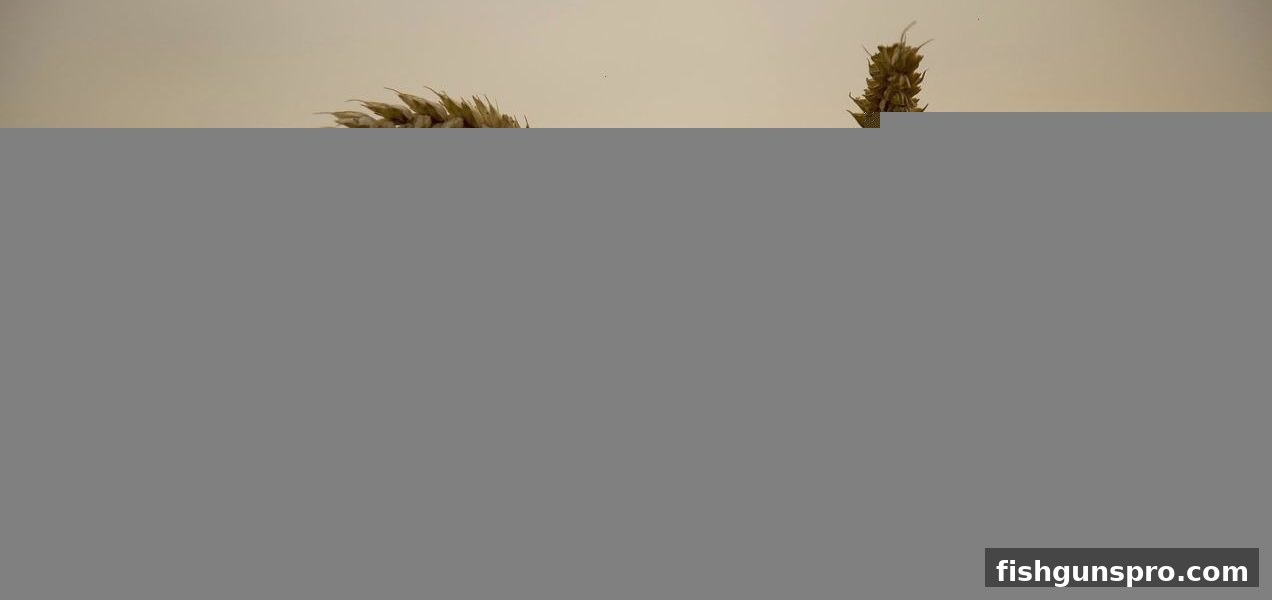 棋牌游戏与北京赛车追号方案高手进阶：捕鱼达人千炮版策略延伸