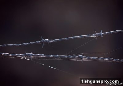 警惕游戏平台倒闭前兆！捕鱼达人千炮版玩家必读安全指南