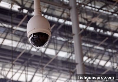 警惕网络陷阱：捕鱼达人千炮版玩家如何识别黑平台与破解秒提现骗局